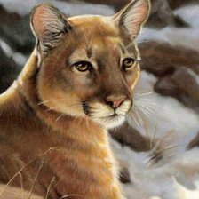 Схема вышивки «ГОРНАЯ ПУМА»