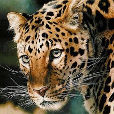 Схема вышивки «Кошка»