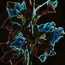 Схема вышивки «Гладиолус»