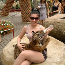 Схема вышивки «С тигренком»