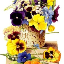 Схема вышивки «Анютины глазки»