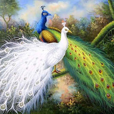 Схема вышивки «Павлины»