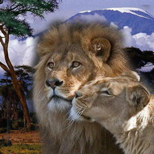 Схема вышивки «пара»