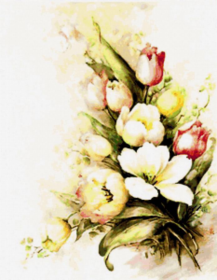 Тюльпаны - цветы, букеты, тюльпаны - предпросмотр