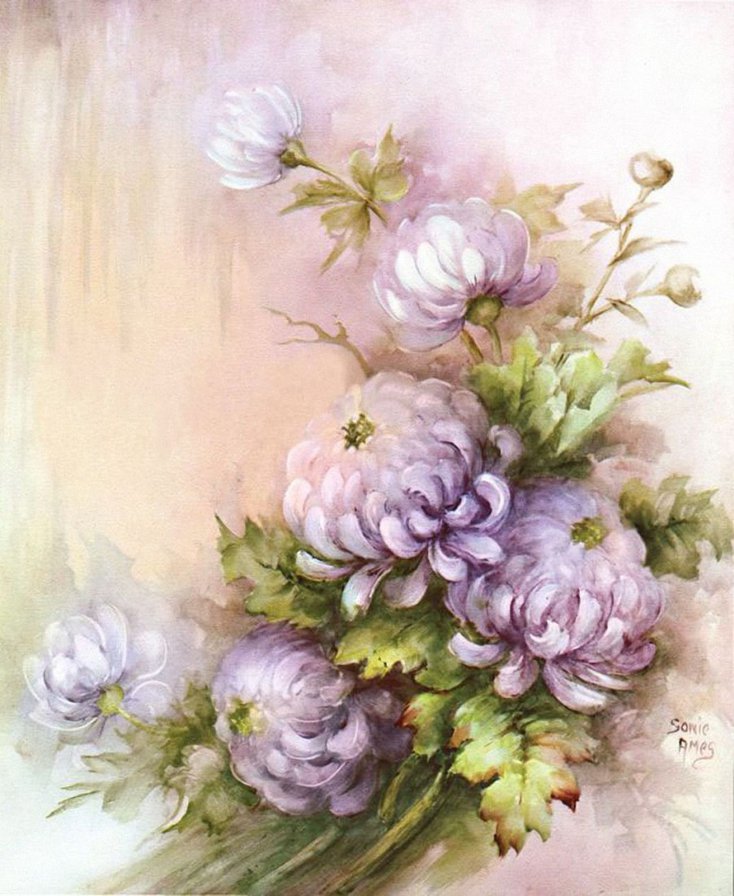 Сиреневые хризантемы - букеты, хризантемы, цветы - оригинал