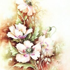 Схема вышивки «Розовые маки.»