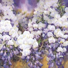 Схема вышивки «Гроздья Глицинии»