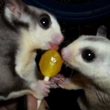 Схема вышивки «Ох уж этот леденец»