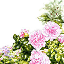 Схема вышивки «Цветы»