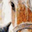 Предпросмотр схемы вышивки «Домашние животные» (№221996)