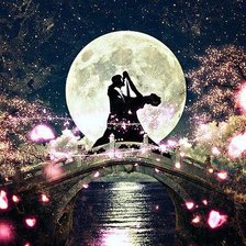 Схема вышивки «Лунный танец»