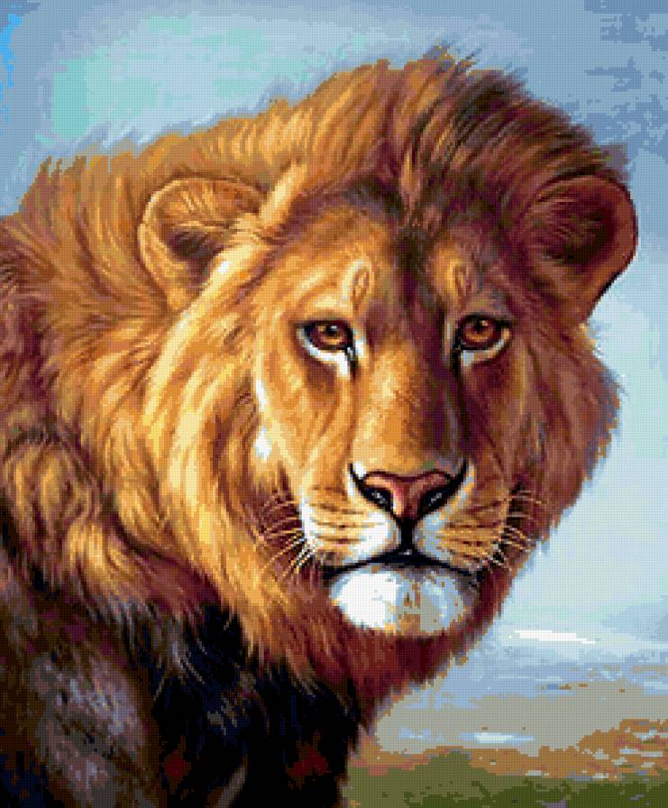 ЦАРЬ - лев, царь зверей, хищник, взгляд, африка - предпросмотр