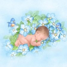 Схема вышивки «№222217»