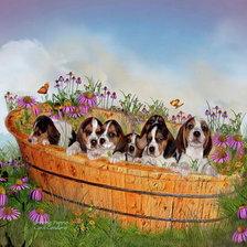 ДО, РЕ, МИ, ФА, СОЛЬ, ЛЯ,СИ