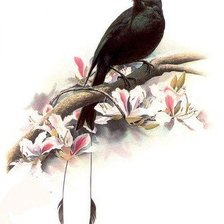 Схема вышивки «Птица»