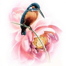 Схема вышивки «Птица»