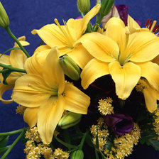 Схема вышивки «лилии»