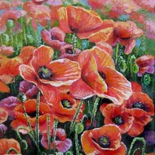 Схема вышивки «Маки в поле»