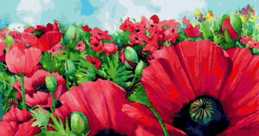 Маки в поле - маки, живопись, букет, мак, цветы, картина, поле, натюрморт - предпросмотр