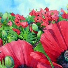 Схема вышивки «Маки в поле»