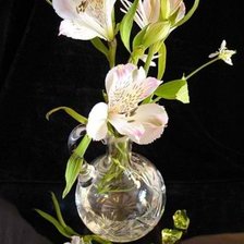 Схема вышивки «цветы»