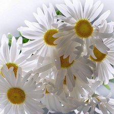 Схема вышивки «356»