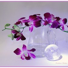 Схема вышивки «орхидея»