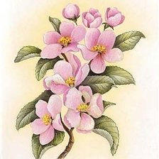 Схема вышивки «№223133»