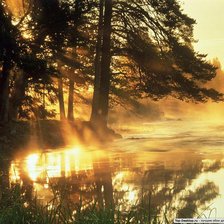 Схема вышивки «№223162»