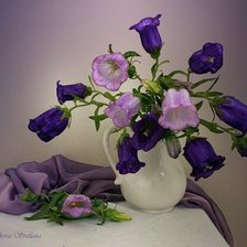 колокольчики