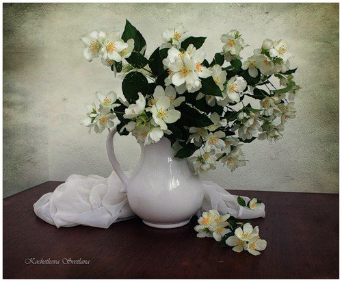 жасмин - цветы, натюрморт, букет, жасмин, аромат - оригинал