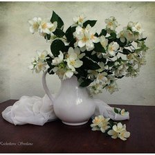 Схема вышивки «жасмин»