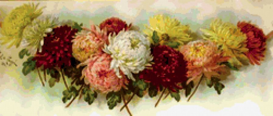 цветы - природа, романтика, букет, цветы - предпросмотр