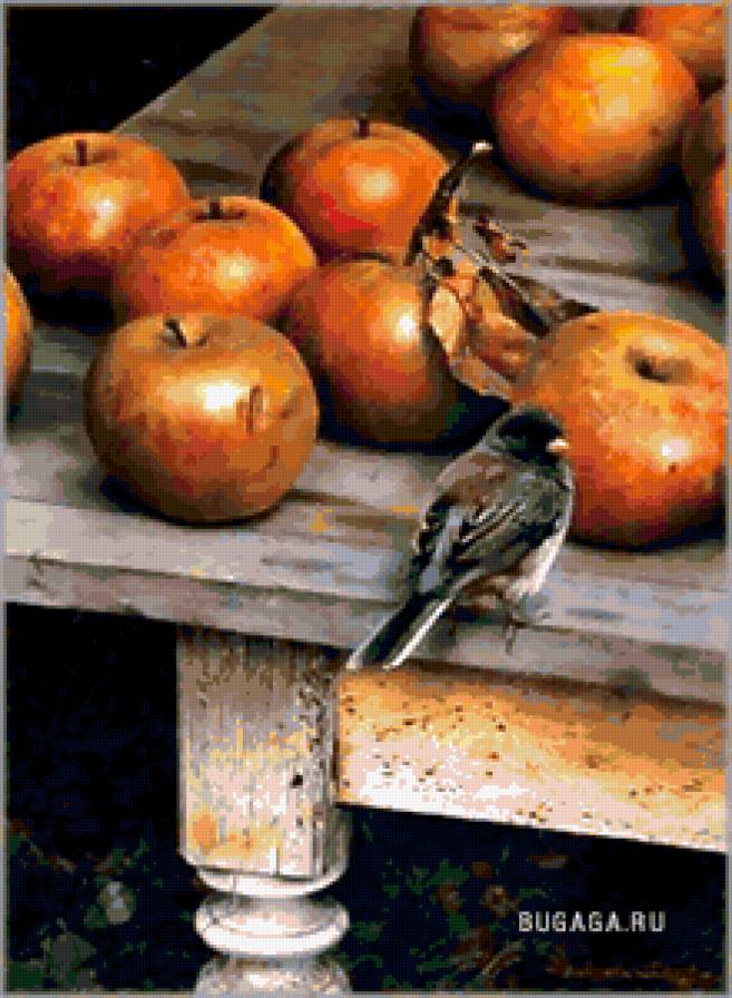 яблочки - природа, птицы, яблоки, натюрморт, животные, фрукты - предпросмотр