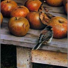 Схема вышивки «яблочки»