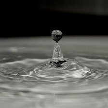 Схема вышивки «черно-белое»