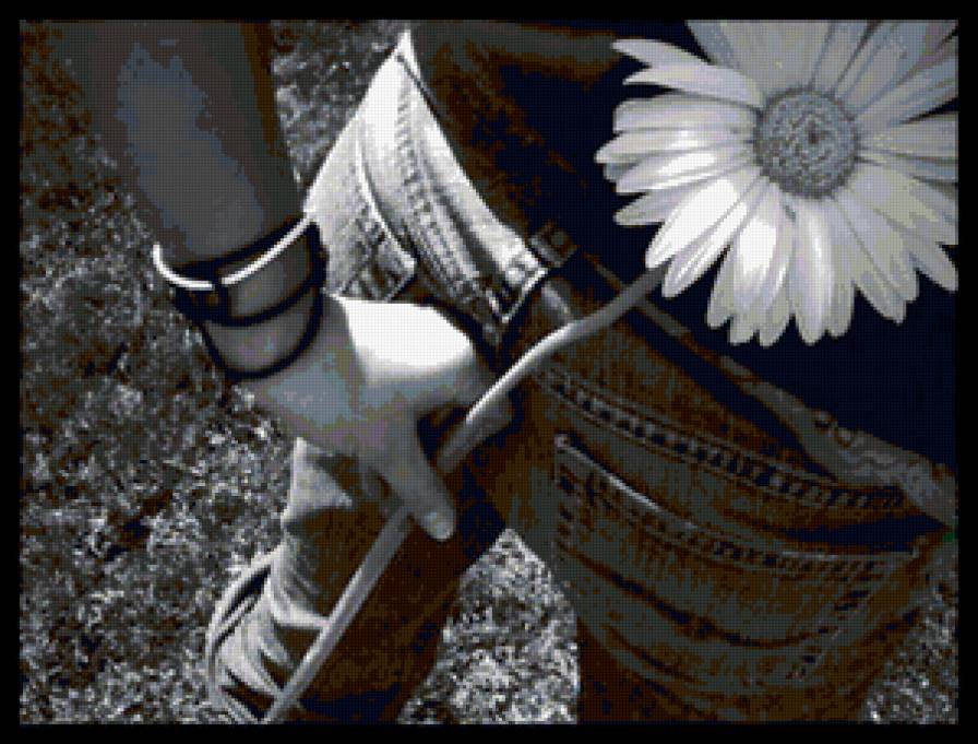 черно-белое - ромашка, люди, девушка, цветы, природа - предпросмотр