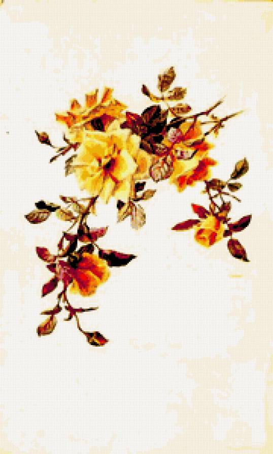 №223315 - предпросмотр