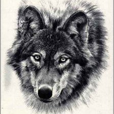 Схема вышивки «черно-белое»