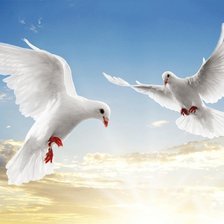 Схема вышивки «№223329»