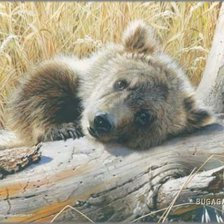 Схема вышивки «мишка»