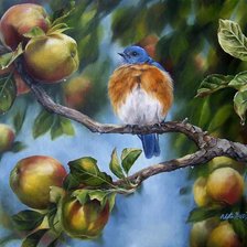 Схема вышивки «ЯБЛОКИ НА ВЕТКЕ»