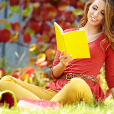 Схема вышивки «№223420»