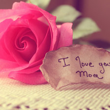 Схема вышивки «№223426»