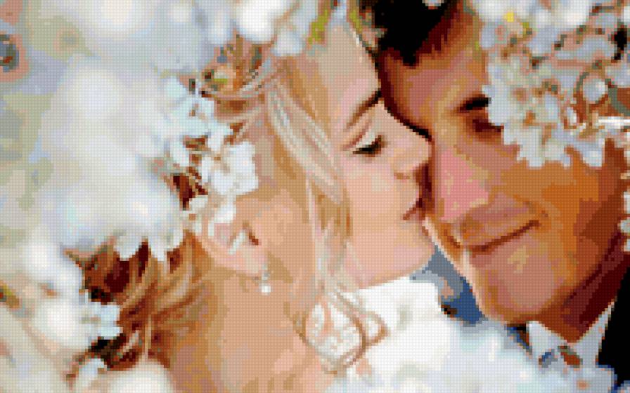 №223429 - предпросмотр