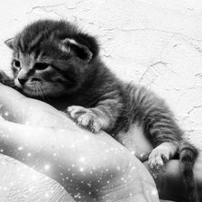 Схема вышивки «№223437»