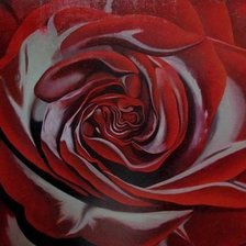 Схема вышивки «Бархатная роза»