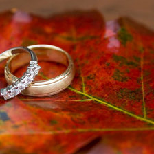 Схема вышивки «№223510»