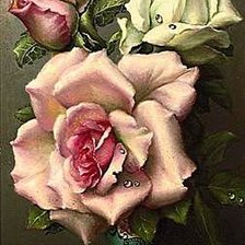 Схема вышивки «Розы»