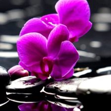 Схема вышивки «№223596»